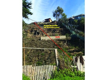 Imagen 7