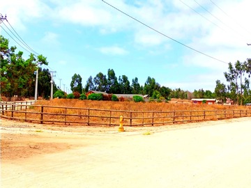 Imagen 5