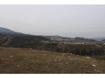 Imagen 7