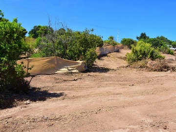 Imagen 9