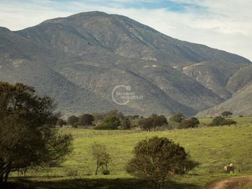 Imagen 12