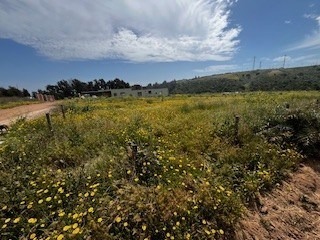 Venta / Parcela / Quintero