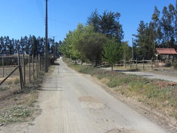 Imagen 12