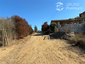 Imagen 8