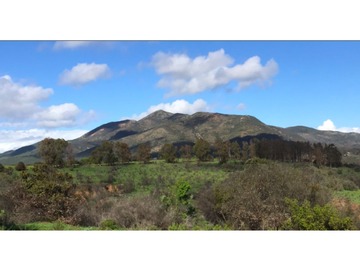 Venta / Parcela / Quintero