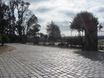 Imagen 12