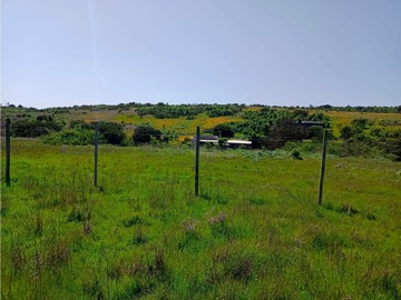 Venta / Parcela / Quintero