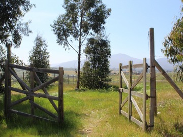 Venta / Parcela / Quintero