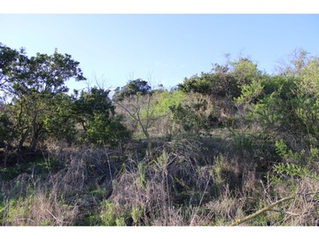 Imagen 13