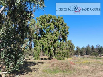 Imagen 7