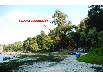 Imagen 8