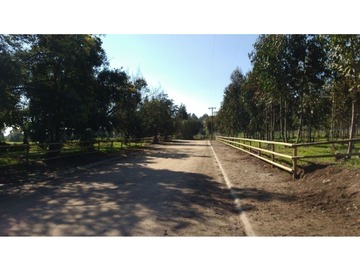 Venta / Parcela / Quintero
