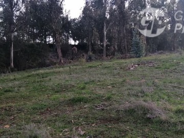 Imagen 6