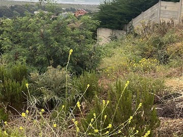 Venta / Parcela / Quintero