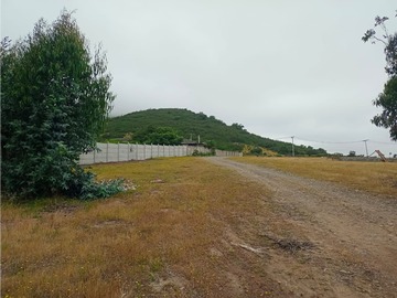 Venta / Parcela / Quintero