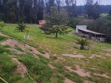 Imagen 16