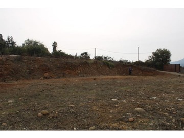 Imagen 6