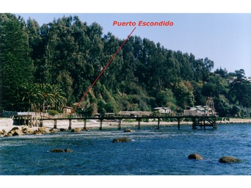 Imagen 10