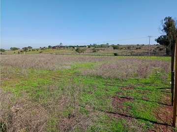 Venta / Parcela / Quintero