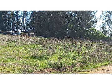 Imagen 9