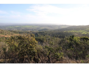 Venta / Parcela / Quintero