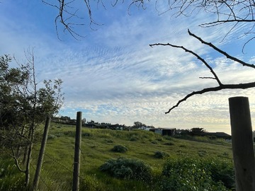 Venta / Parcela / Quintero