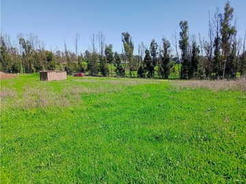 Imagen 6