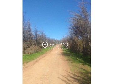 Venta / Parcela / Quintero