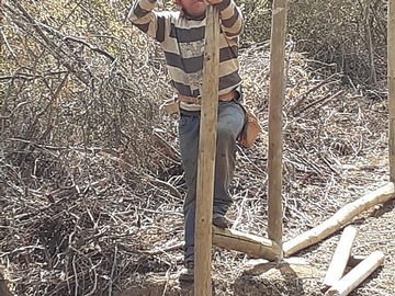 Imagen 12