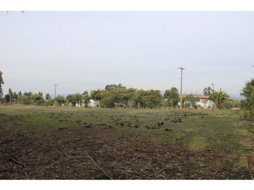 Venta / Parcela / Quintero