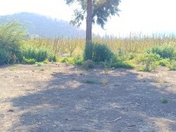 Imagen 9