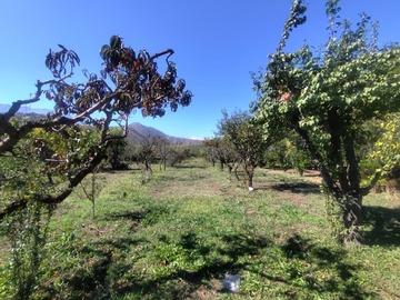 Imagen 27