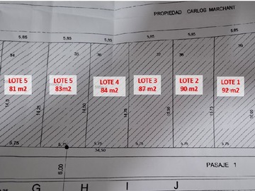 Imagen 12