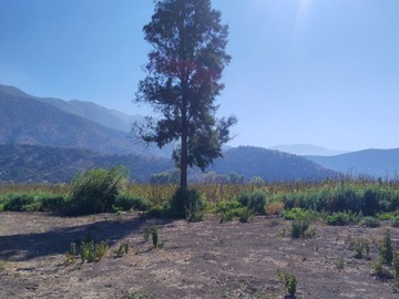 Imagen 8