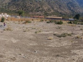Imagen 6