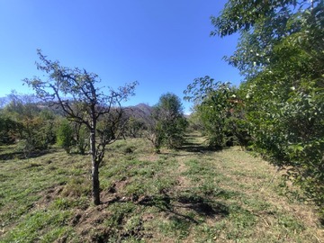 Imagen 29