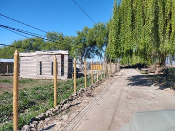 Imagen 13