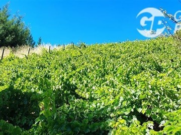 Venta / Parcela / Ránquil