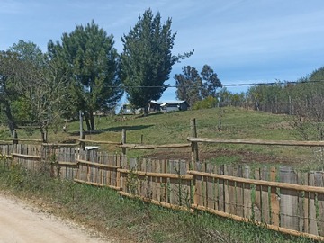Imagen 7