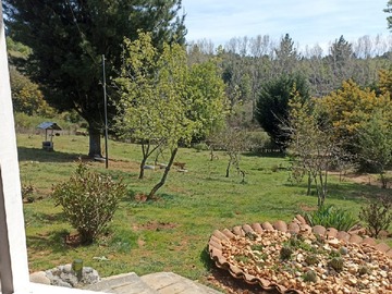 Imagen 8