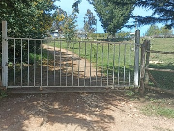 Imagen 11