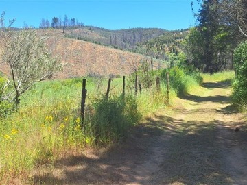 Venta / Parcela / Ránquil