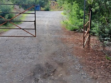 Imagen 6