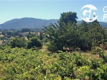 Venta / Parcela / Ránquil