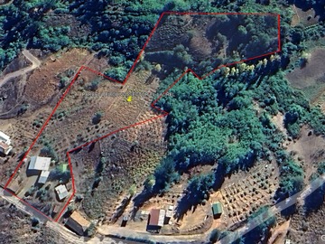 Imagen 14