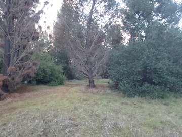 Venta / Parcela / Ránquil