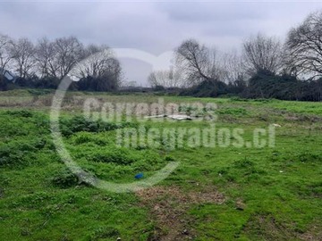 Imagen 6