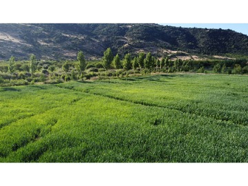 Imagen 8
