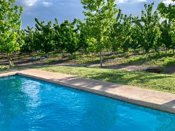 Venta / Parcela / Rauco