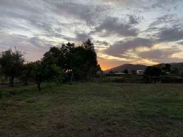 Venta / Parcela / Rauco